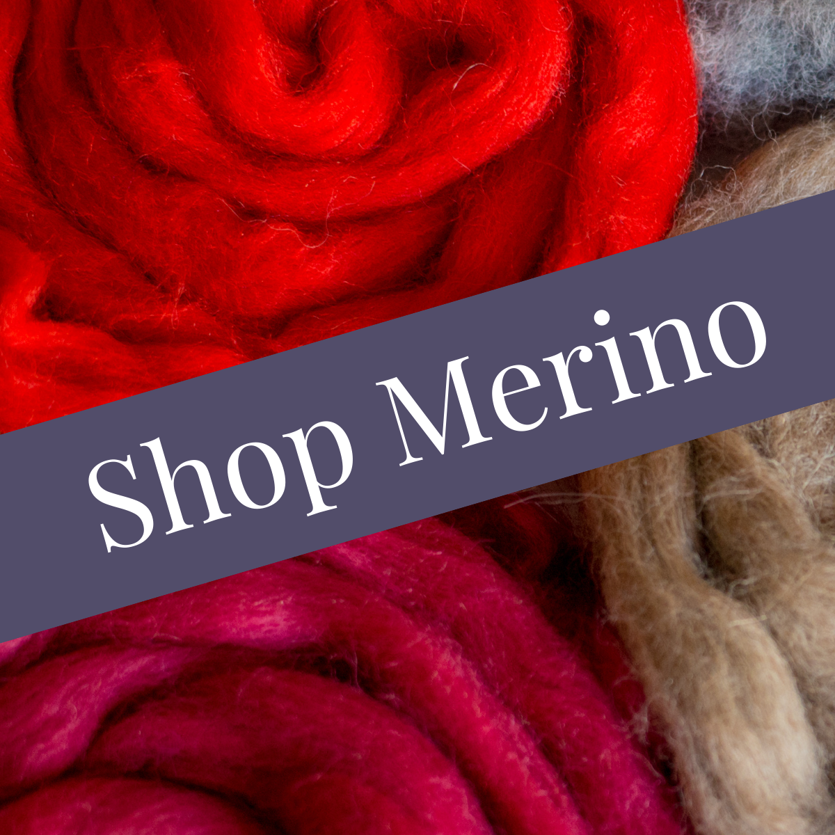 Merino