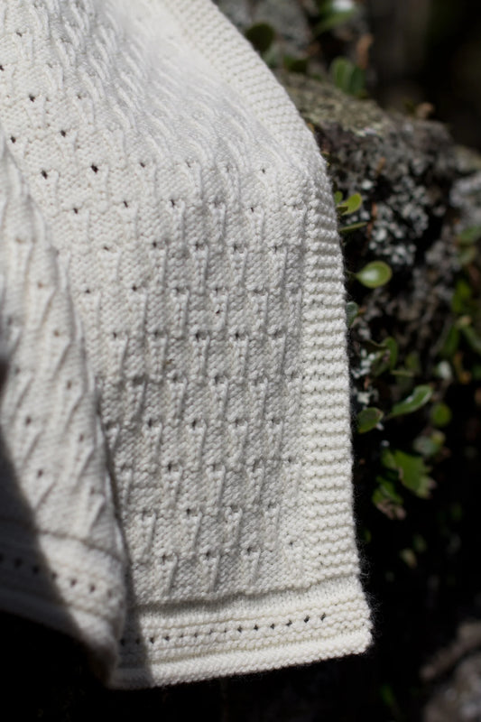 Lisa F Ice Cream Blanket BC21